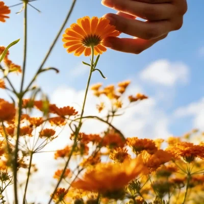 Adobe Express - file (3) (1)